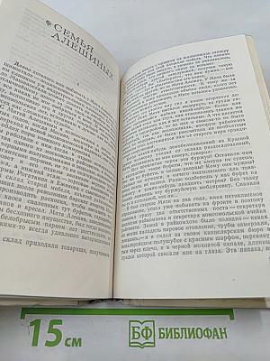 Городок на Дреме