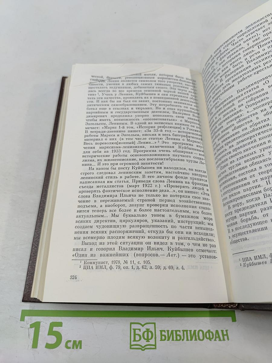 Валериан Владимирович Куйбышев. Биография