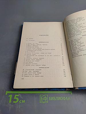 Золотой сундук