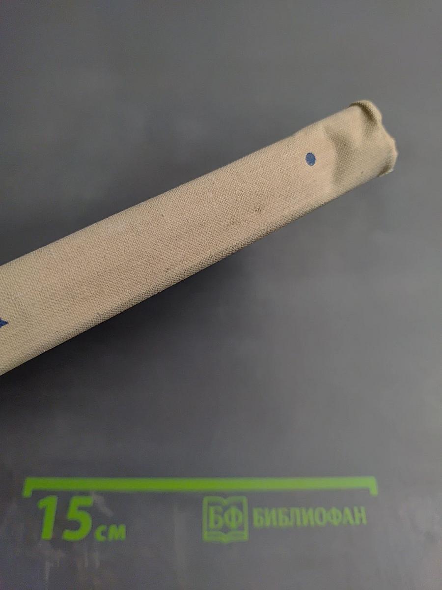 Золотой сундук