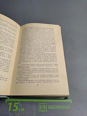 Пехотный капитан