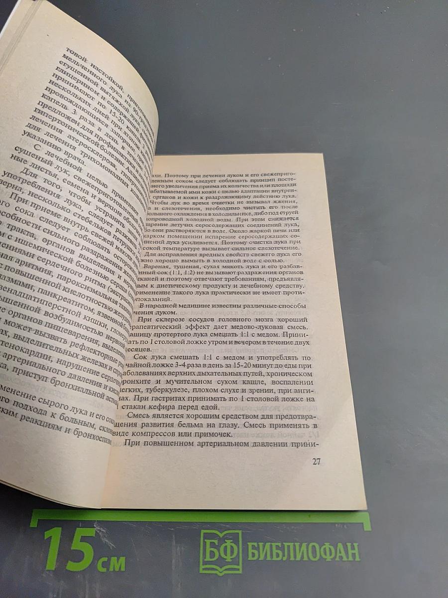 Лук - природный целитель