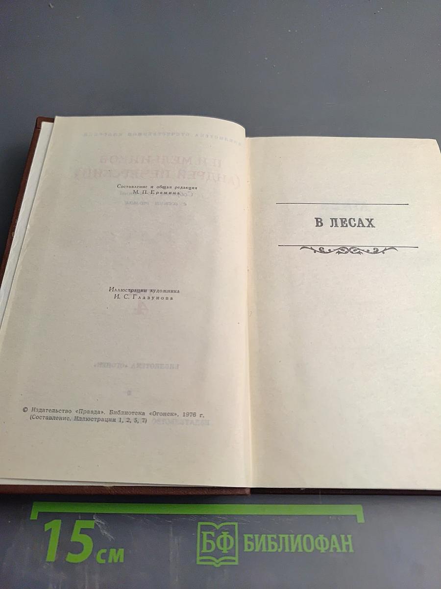 В Лесах. Книга вторая (Том IV)