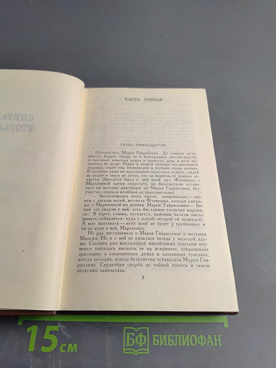 В Лесах. Книга вторая (Том IV)