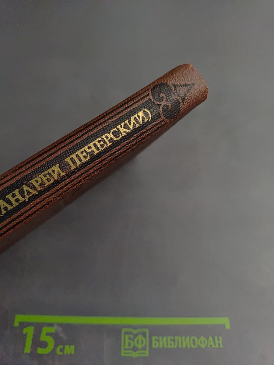 В Лесах. Книга вторая (Том IV)