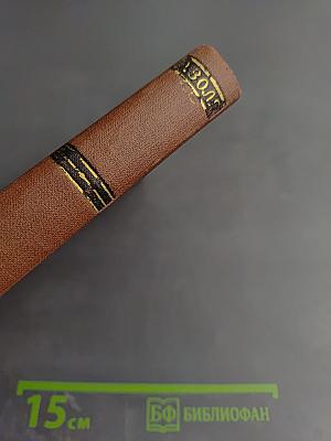 Западня. Том 6