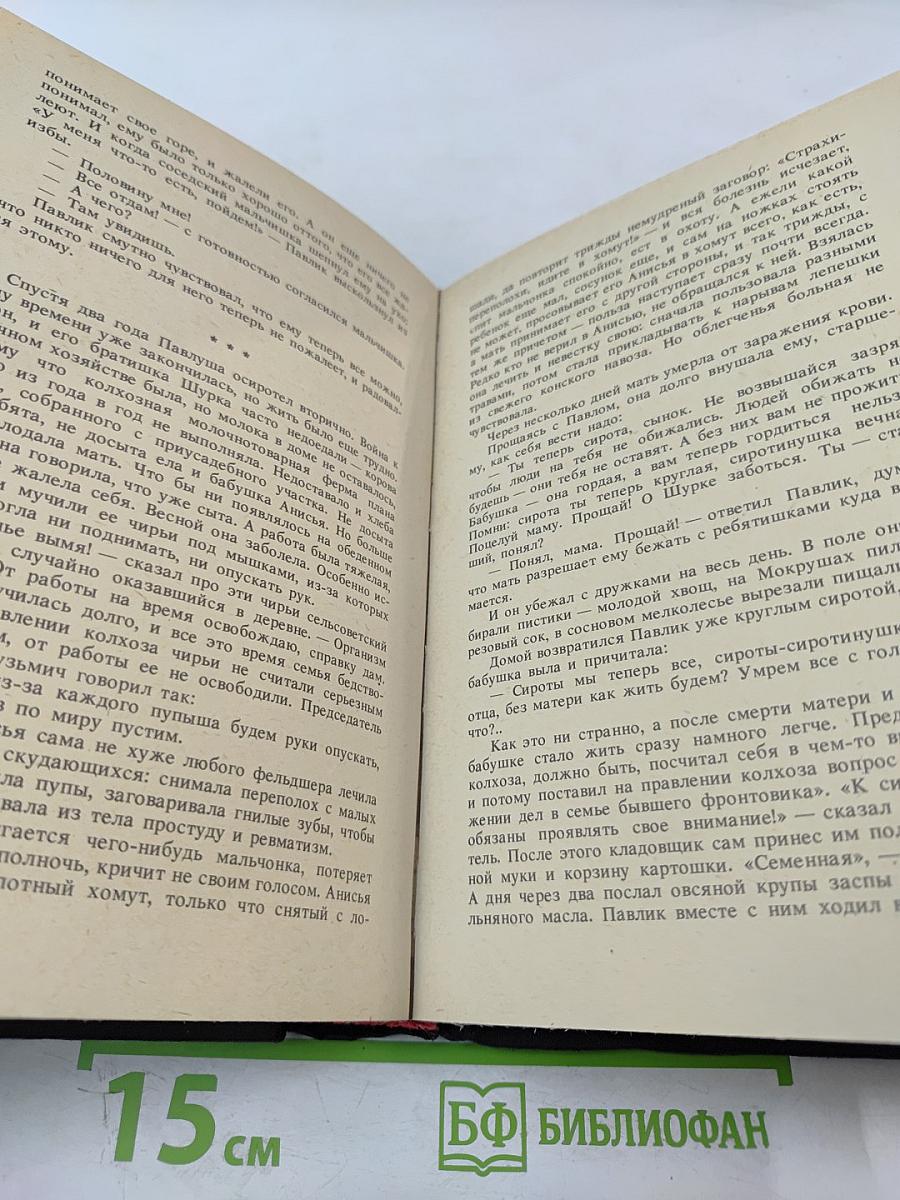 Угощаю рябиной