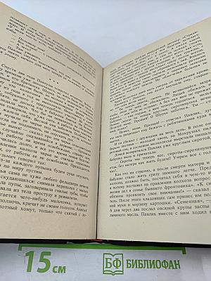 Угощаю рябиной