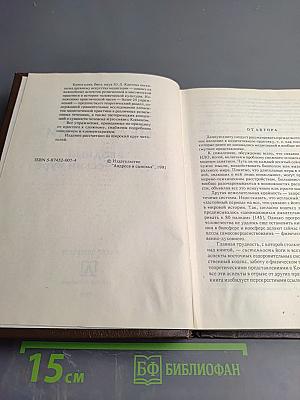 Основы медитации. Вводный практический курс