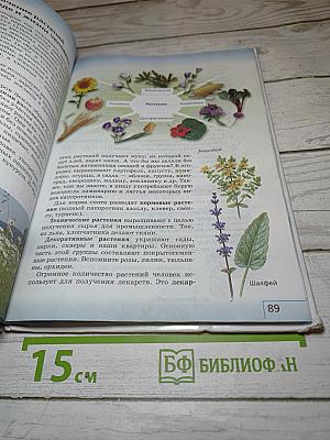Биология. Введение в биологию для 5 класса
