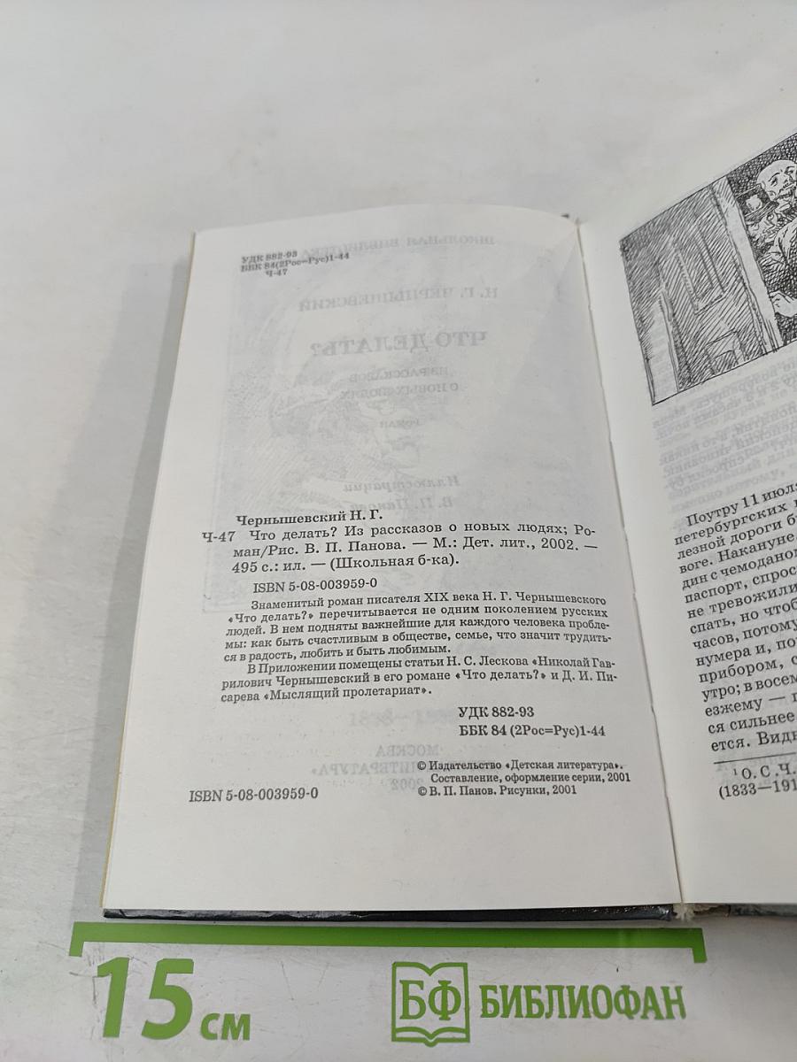 Что делать?