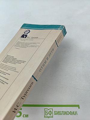 Отцы и дети (для 10-11 класса)