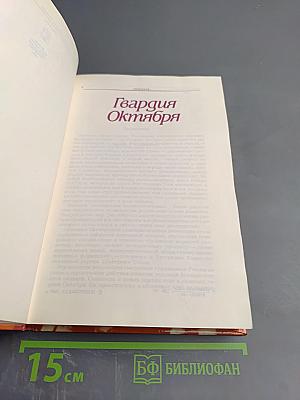 Гвардия Октября. Петроград