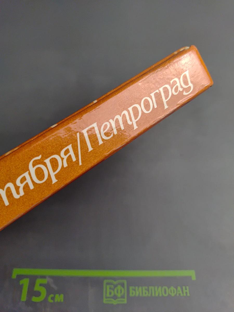 Гвардия Октября. Петроград