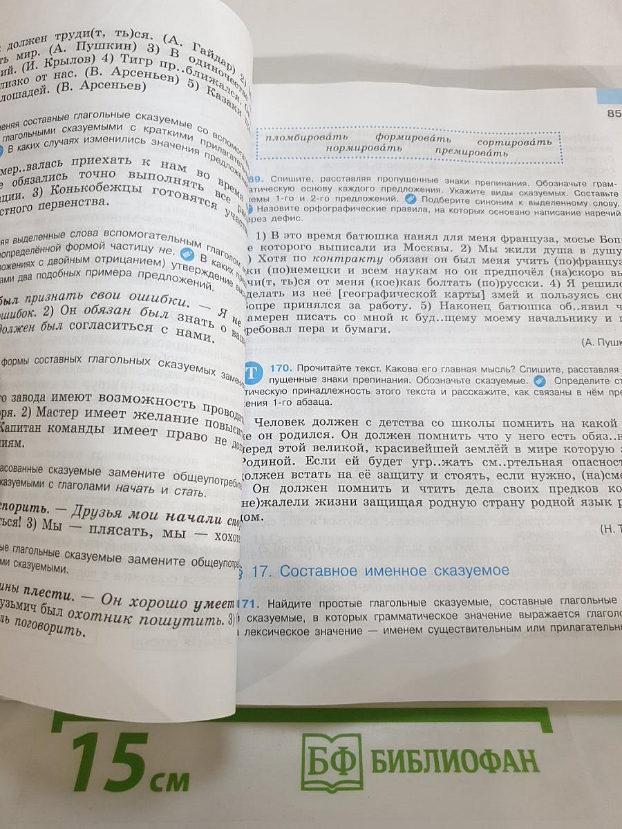 Русский язык 8 класс