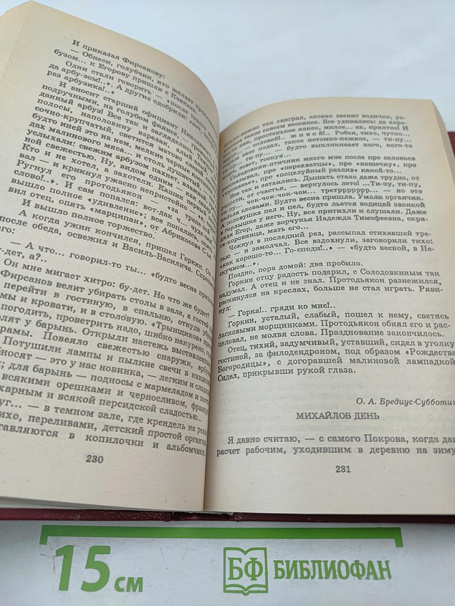Лето Господне. Книга для ученика и учителя