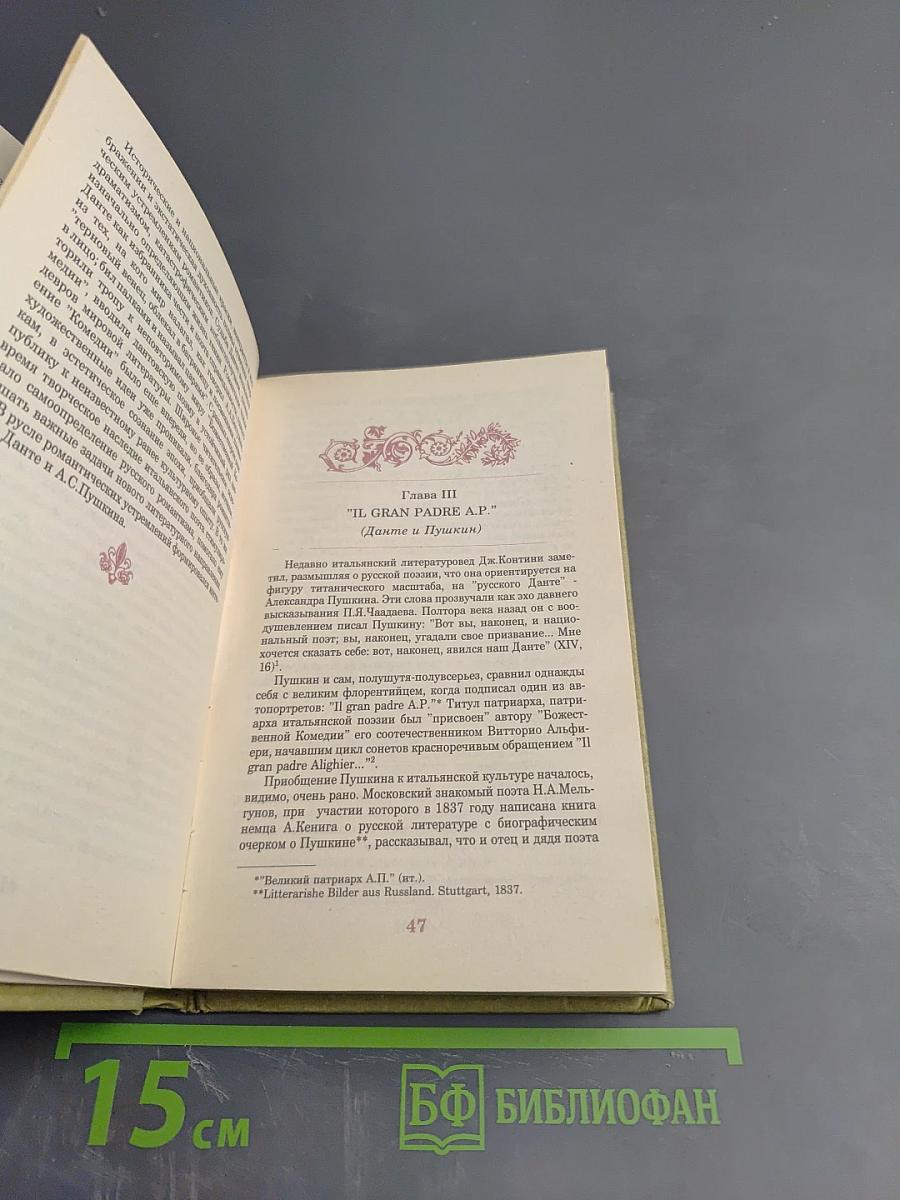 «Почтите высочайшего поэта...» Судьба «Божественной комедии» Данте в России
