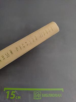 Государственный Русский музей. Путеводитель