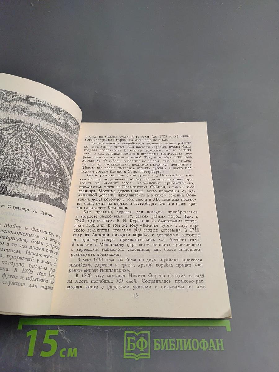 Летний сад и Летний дворец Петра I