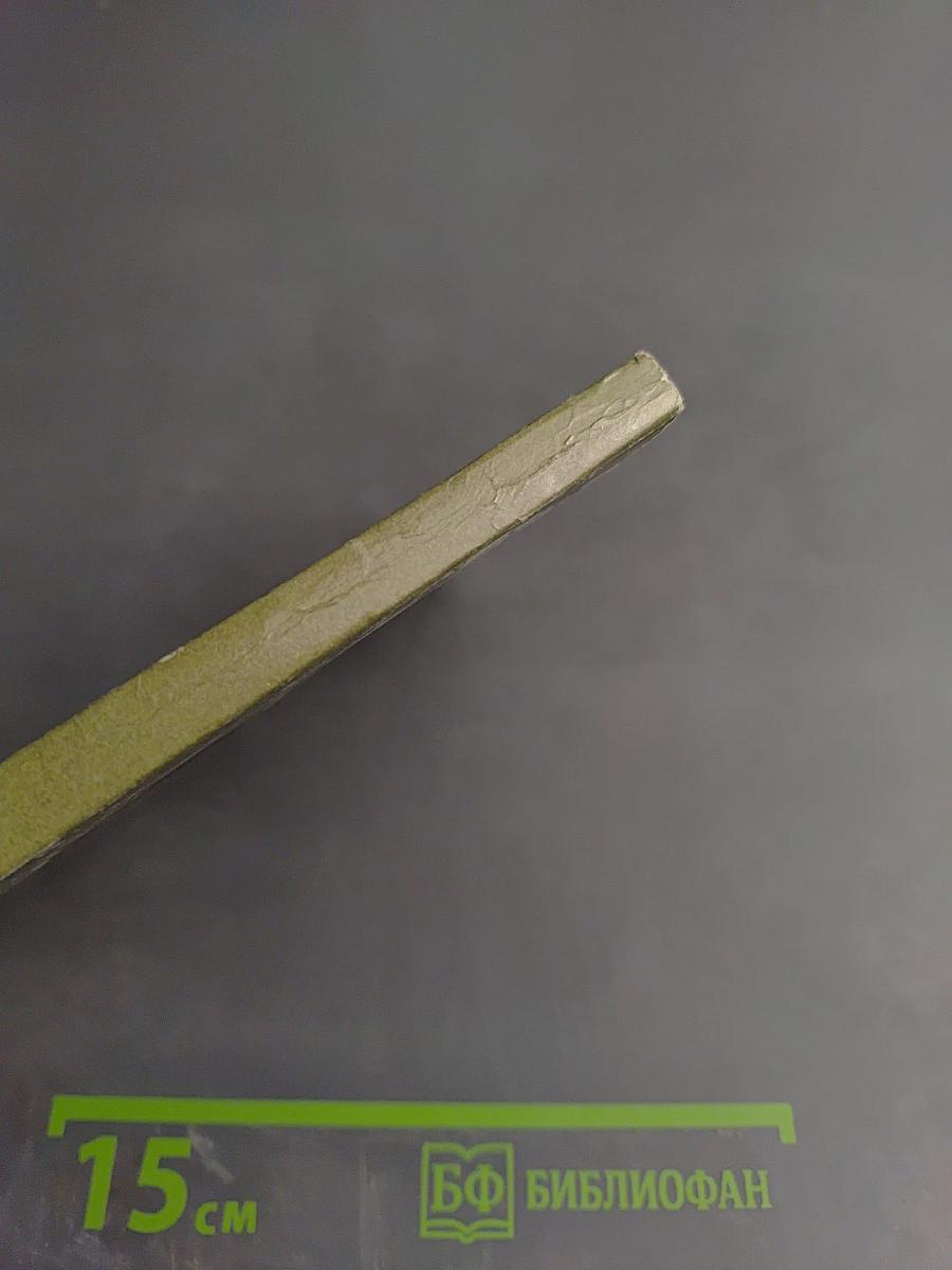 Летний сад и Летний дворец Петра I