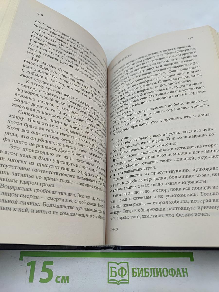 Всадник без головы