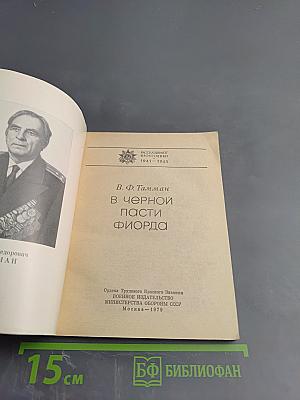 В черной пасти фиорда