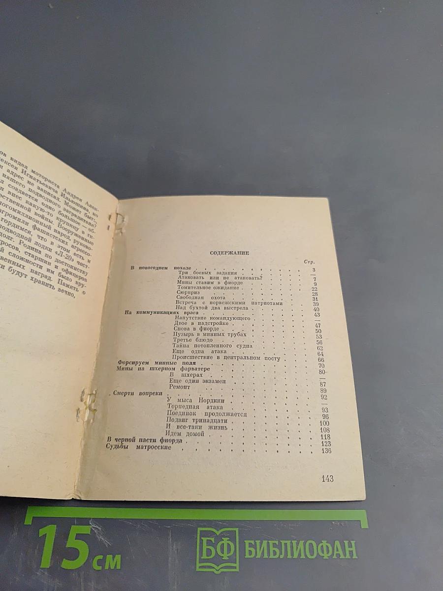 В черной пасти фиорда