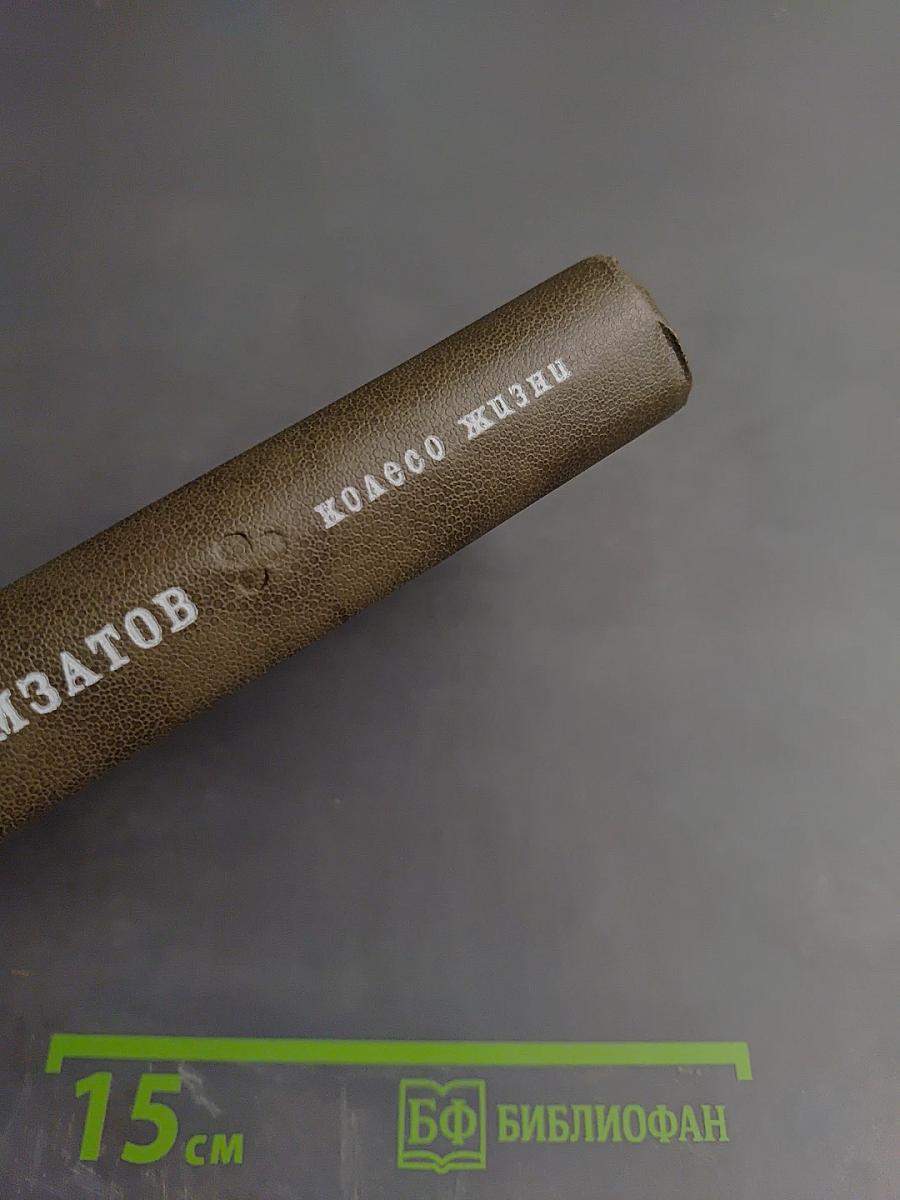 Колесо жизни