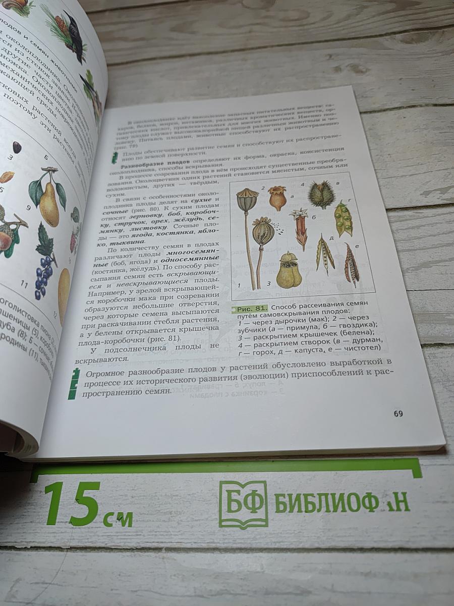 Биология 6 класс