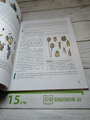 Биология 6 класс