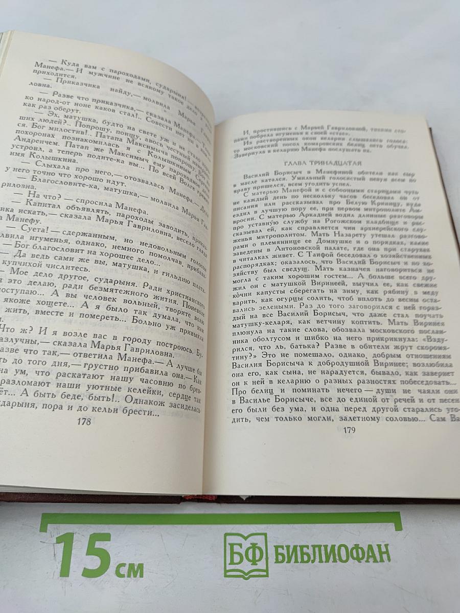 В Лесах. Том 3