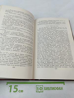 В Лесах. Том 3