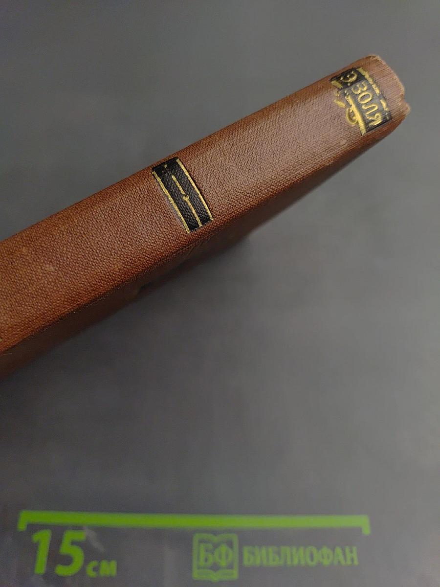 Его превосходительство Эжен Ругон. Том 5