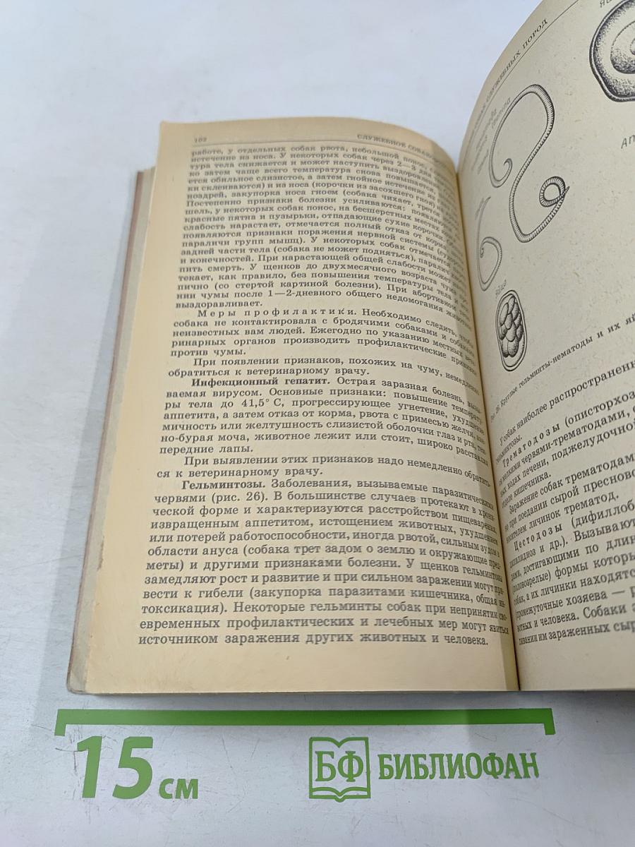 Служебное собаководство