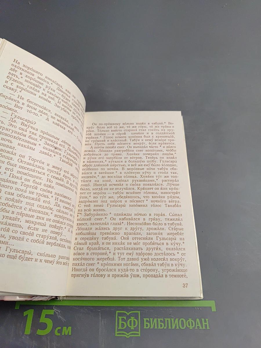 Прощай, Гульсары!