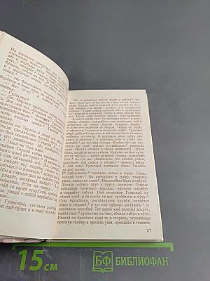 Прощай, Гульсары!