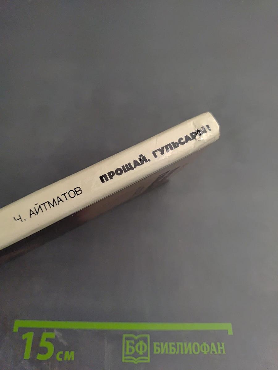 Прощай, Гульсары!