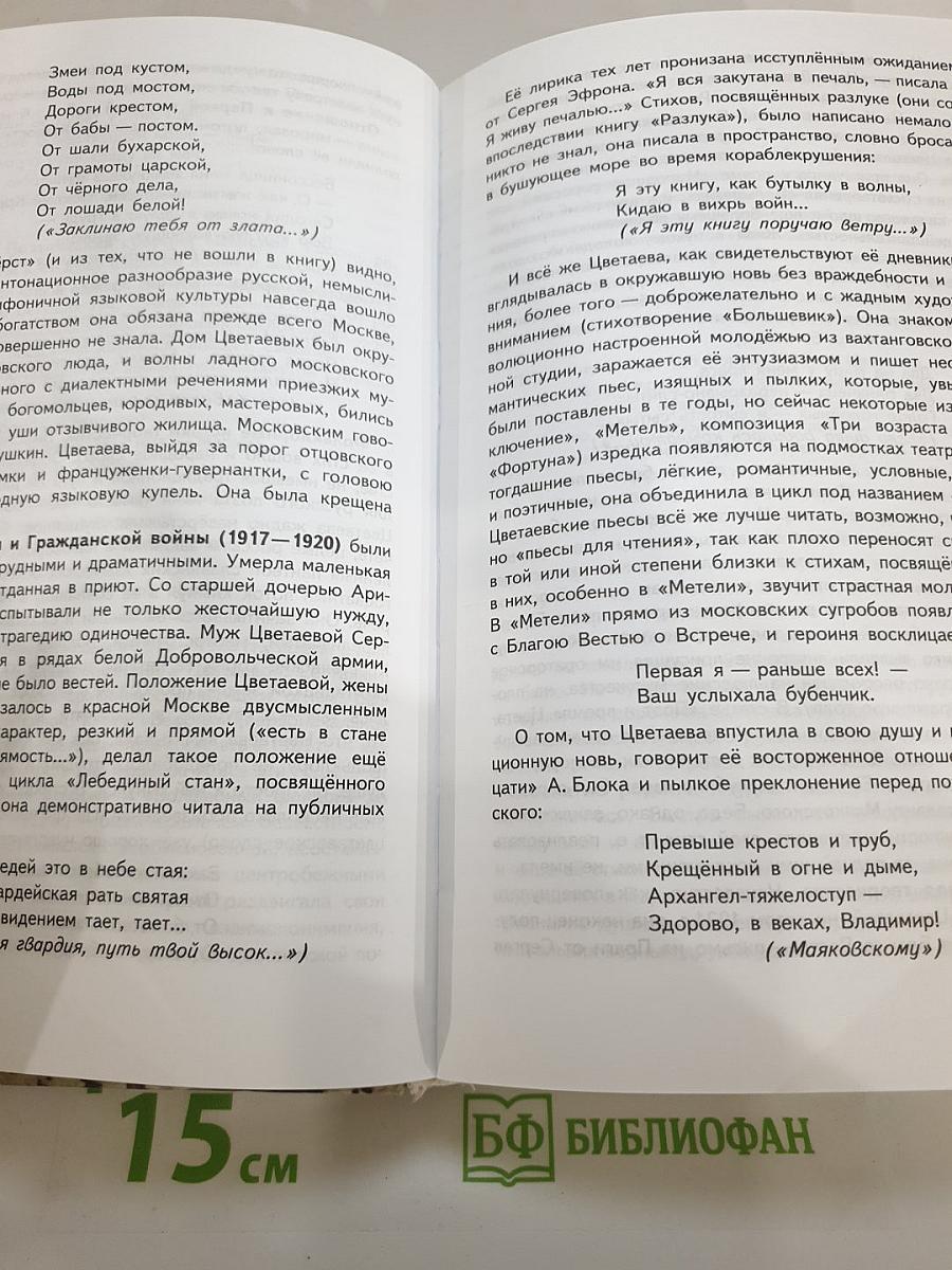 Русский язык и литература. Литература. 11 класс. Базовый уровень. В двух частях. Часть 2