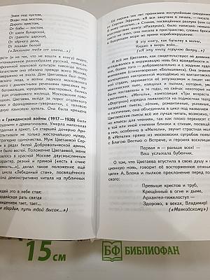 Русский язык и литература. Литература. 11 класс. Базовый уровень. В двух частях. Часть 2
