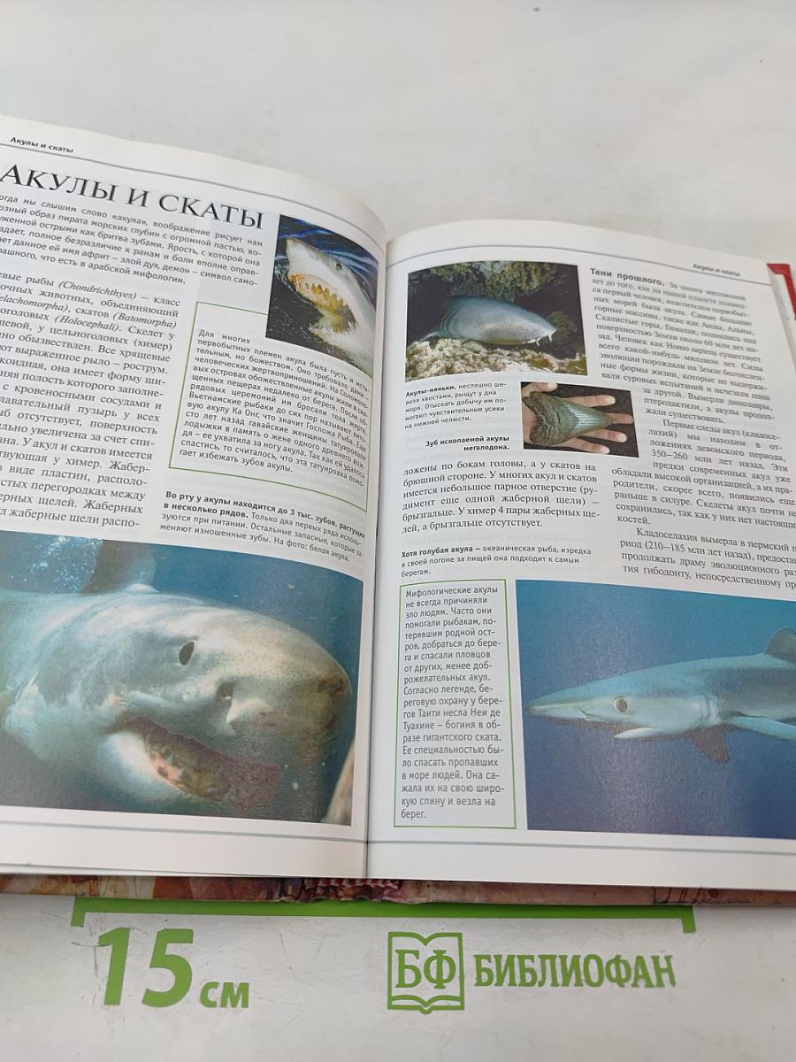 Большая иллюстрированная энциклопедия. Том 1. А-Ама