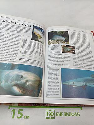 Большая иллюстрированная энциклопедия. Том 1. А-Ама