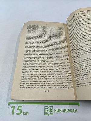 Мусорный ветер