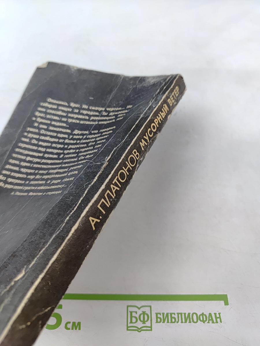 Мусорный ветер