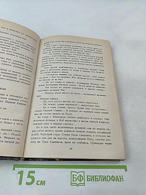 Тайна простуженного дракона