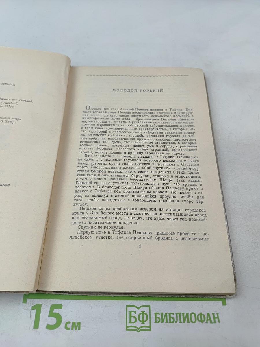 Макар Чудра и другие рассказы