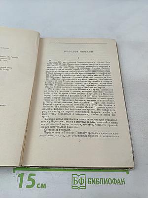 Макар Чудра и другие рассказы