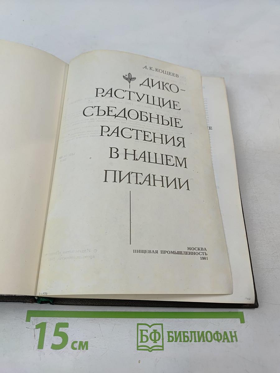 Дикорастущие съедобные растения в нашем питании