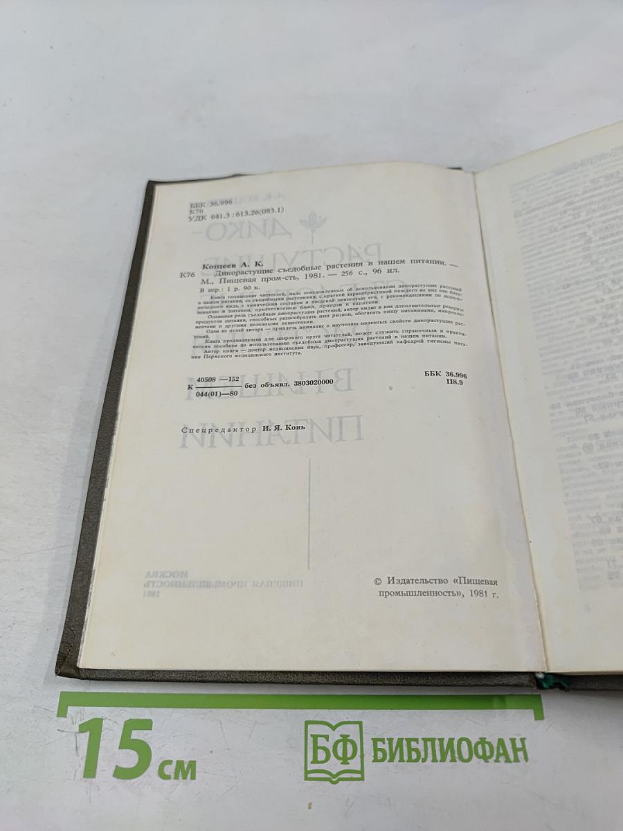 Дикорастущие съедобные растения в нашем питании