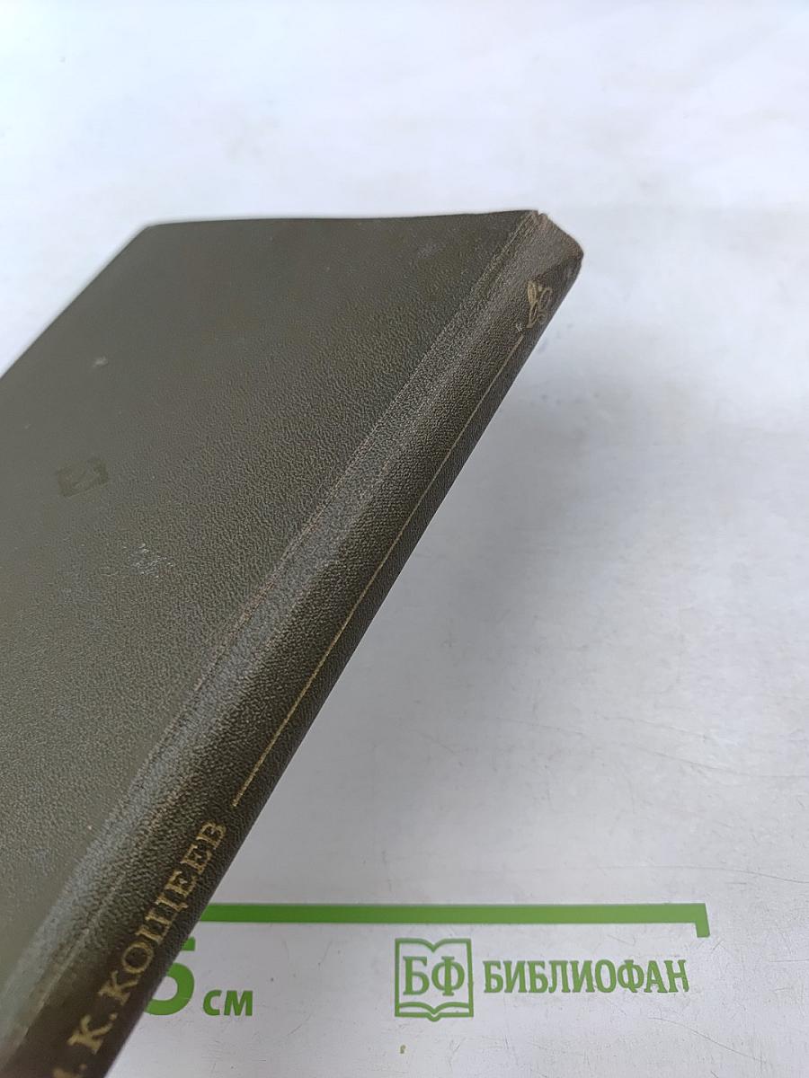 Дикорастущие съедобные растения в нашем питании