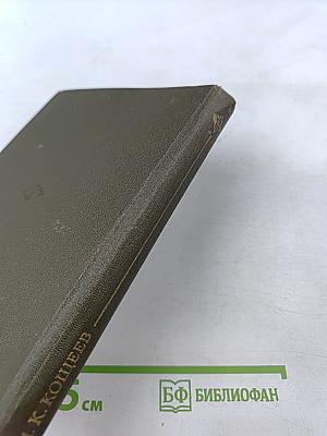 Дикорастущие съедобные растения в нашем питании